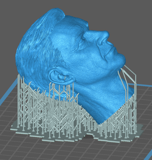 3D Model with supports